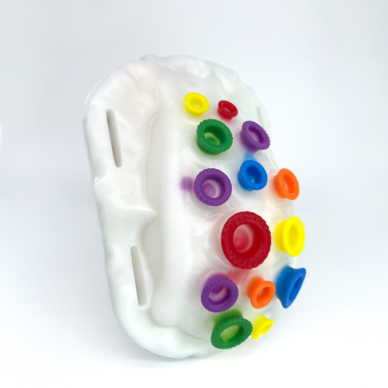 Gorj 'Rainbow Palette' super soft (OO20) **NEW GRINDER TOY**